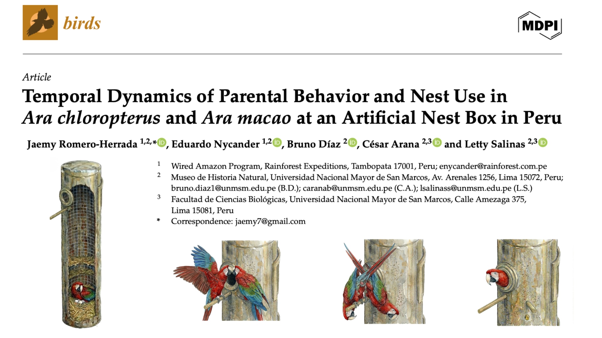 Imagen extraída del Estudio Científico: Temporal Dynamics of Parental Behavior and Nest Use in Ara chloropterus and Ara macao at an Artificial Nest Box in Peru 