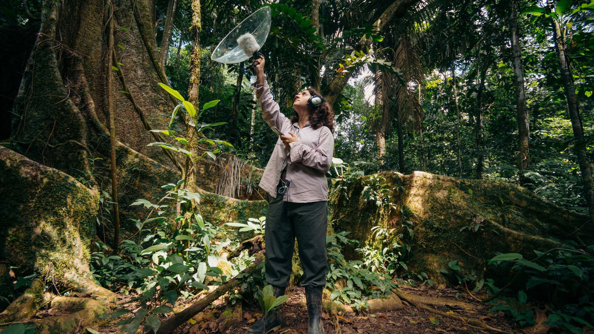 Volunteer - 8 primates by Gabriel Serrano