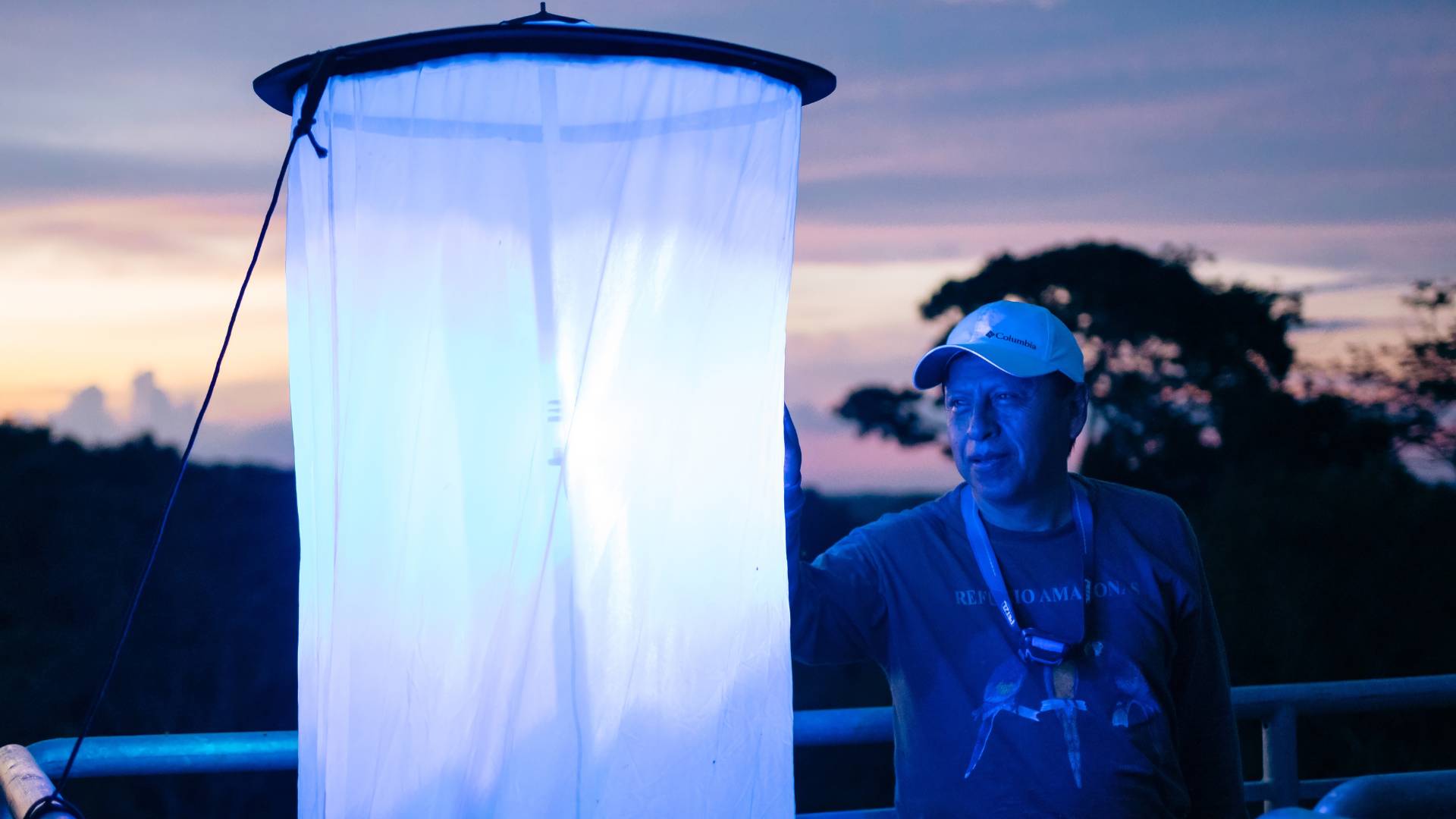 LepiLED at the canopy Tower by Carlos gonzalez