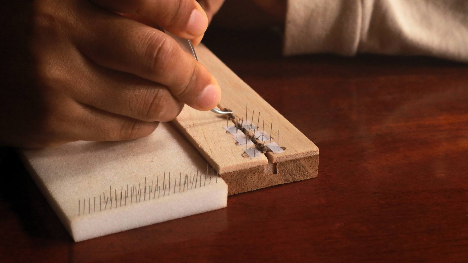 Microlepidoptera mounting by Sebastian Fukunaga