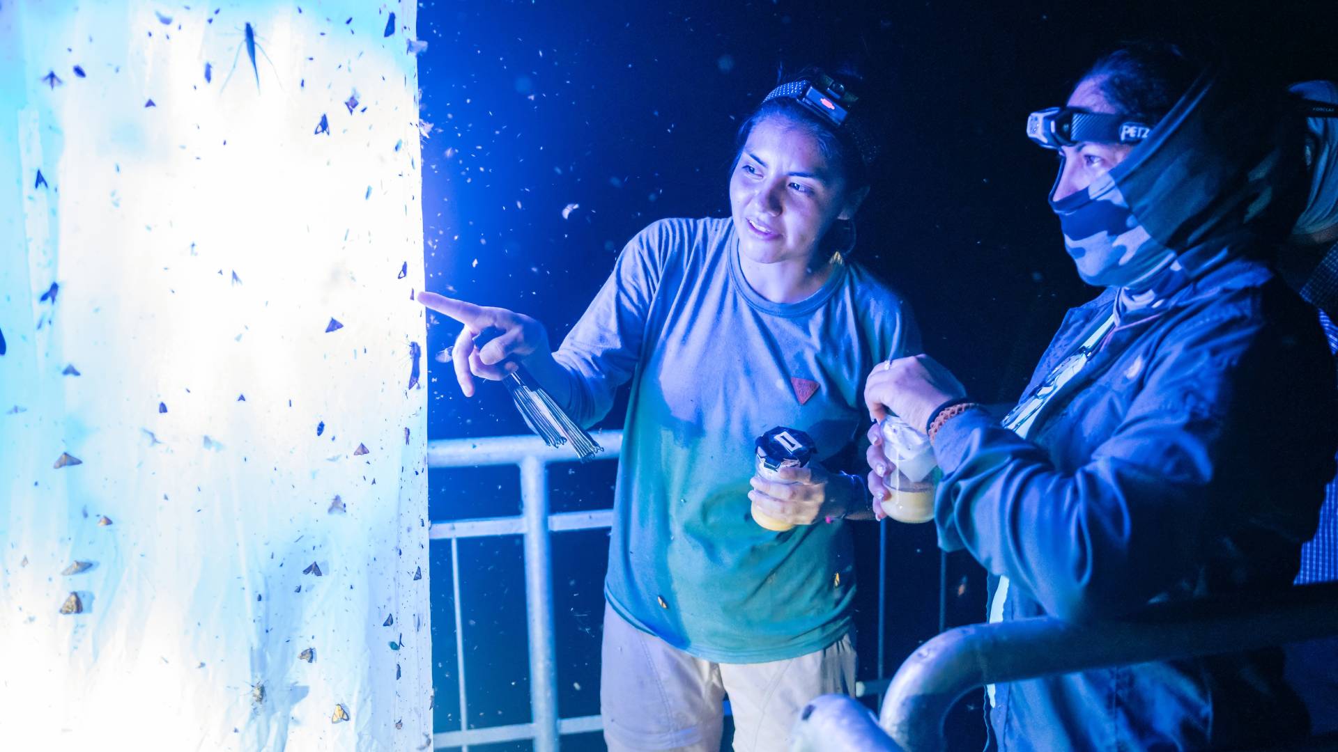Wired Amazon Biologist collecting samples in the LepiLED by Carlos Gonzalez
