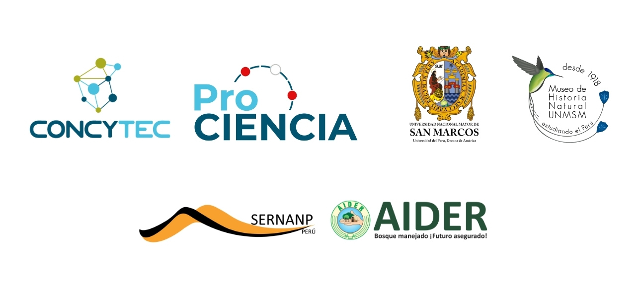 Allies for Tambopata Macaw Project